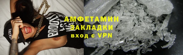 прущие грибы Верея