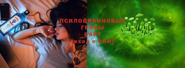 гашик Верхний Тагил