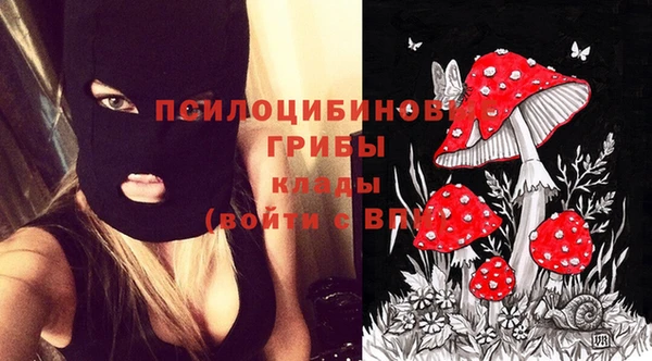 прущие грибы Верея