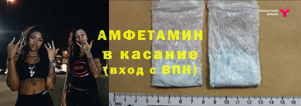 прущие грибы Верея