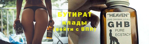прущие грибы Верея