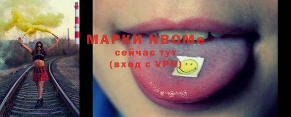 прущие грибы Верея