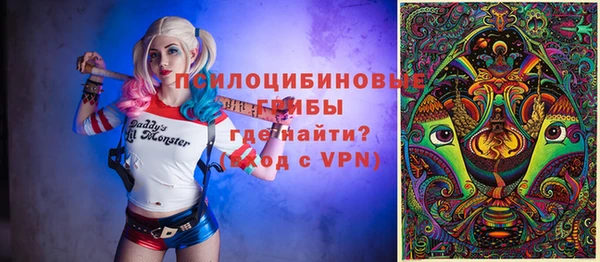 гашик Верхний Тагил