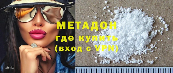 прущие грибы Верея