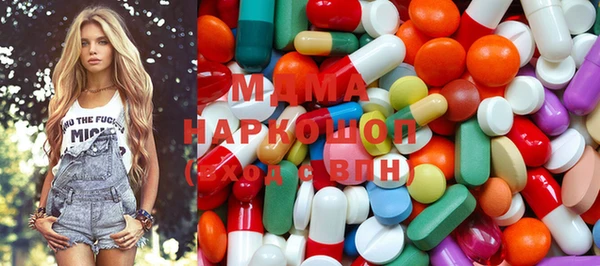 прущие грибы Верея