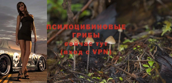прущие грибы Верея