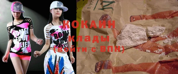 прущие грибы Верея