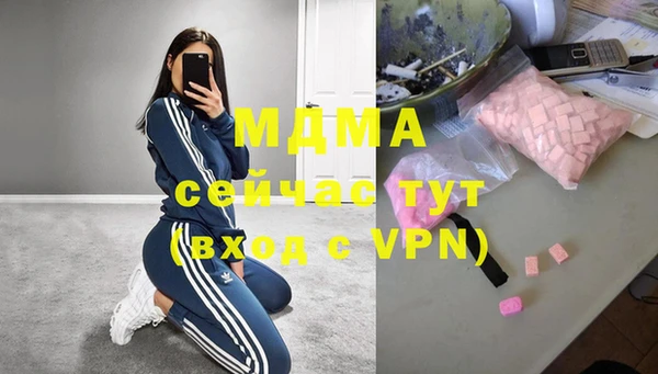 прущие грибы Верея